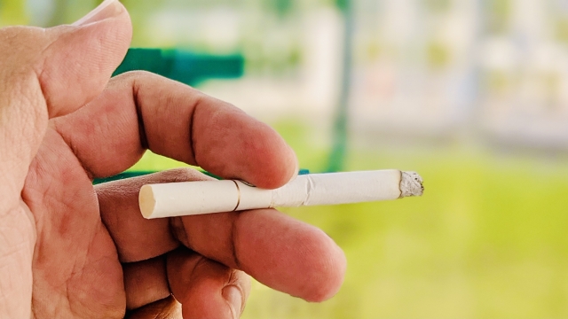 煙草を持っている画像