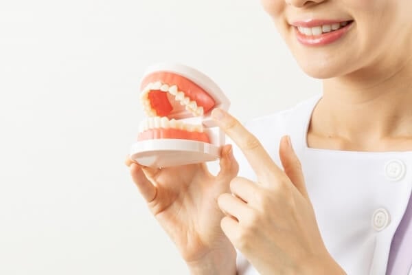 歯茎の腫れの緩和には抗生物質