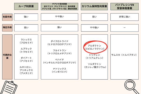 ループ利尿薬、チアジド系利尿薬、非チアジド（サイアザイド）系利尿薬、チアジド系（サイアザイド系）類似利尿薬、カリウム保持性利尿薬、バソプレシンV2受容体阻害薬、利尿作用、強い、やや強い、弱い、非常に強い、降圧作用、弱い、強い、やや強い、-、代表的な薬、ラシックス（フロセミド）、ルプラック（トラセミド）、ダイアート（アゾセミド）、ルネトロン、ブリネックス（ブメタニド）、	ダイクロトライド（ヒドロクロロチアジド）、フルイトラン（トリクロルメチアジド）、ベハイド（ベンチルヒドロクロロチアジド）、ナトリックス（インダパミド）	アルダクトン（スピロノラクトン）、トリテレン（トリアムテレン）、ソルダクトン（カンレノ酸カリウム）、サムスカ（トルバプタン）