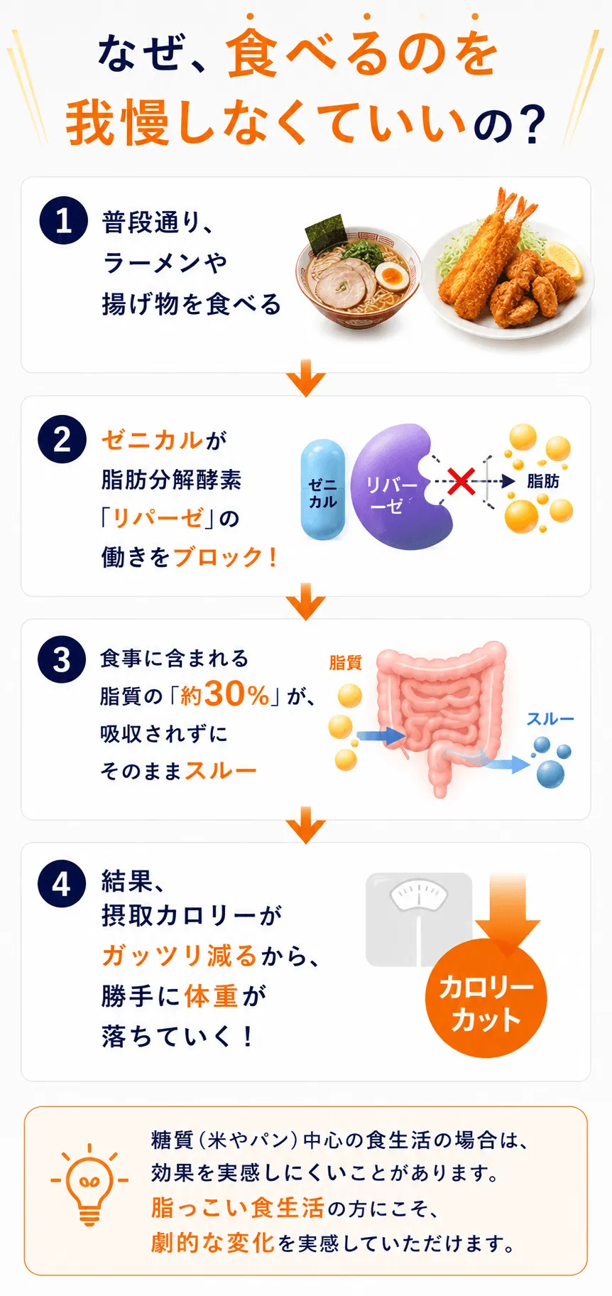 なぜ、食べるのを我慢しなくていいの？1. 普段通り、ラーメンや揚げ物を食べる↓2. ゼニカルが脂肪分解酵素「リパーゼ」の働きをブロック！↓3. 食事に含まれる脂質の「約30%」が、吸収されずにそのままスルー↓4. 結果、摂取カロリーがガッツリ減るから、勝手に体重が落ちていく！💡 糖質（米やパン）中心の食生活の場合は、効果を実感しにくいことがあります。脂っこい食生活の方にこそ、劇的な変化を実感していただけます。