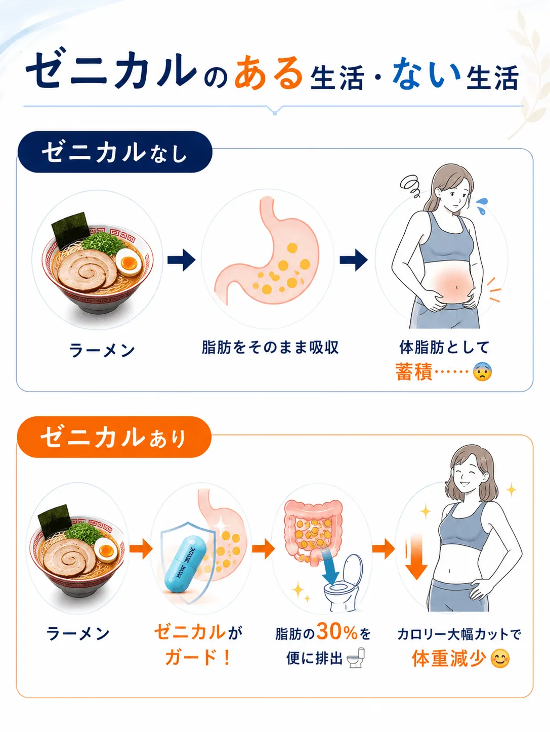 ゼニカルのある生活・ない生活 ゼニカルなし🍜ラーメン ➡️ 脂肪をそのまま吸収 ➡️ 体脂肪として蓄積……😥ゼニカルあり🍜ラーメン ➡️ ゼニカルがガード！ ➡️ 脂肪の30%を便に排出🚽 ➡️ カロリー大幅カットで体重減少😊