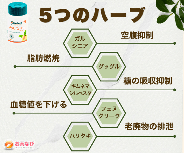 アーユスリム画像