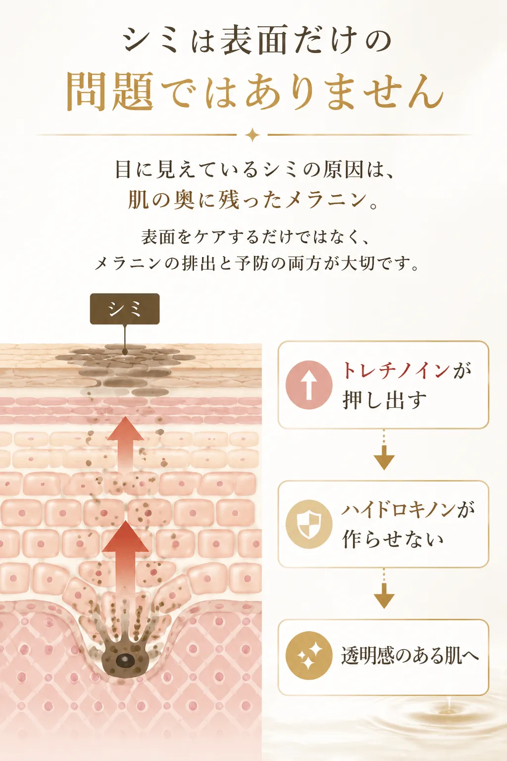 シミは表面だけの問題ではありません目に見えているシミの原因は、肌の奥に残ったメラニン。表面をケアするだけではなく、メラニンの排出と予防の両方が大切です。シミ↓トレチノインが押し出す↓ハイドロキノンが作らせない↓透明感のある肌へ
