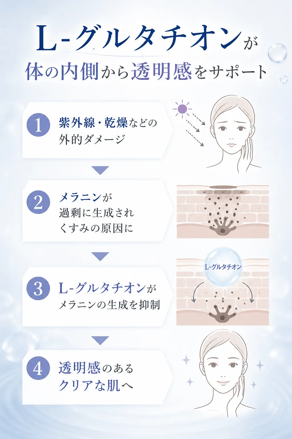 L-グルタチオンが体の内側から透明感をサポート①紫外線・乾燥などの外的ダメージ②メラニンが過剰に生成されくすみの原因に③L-グルタチオンがメラニンの生成を抑制④透明感のあるクリアな肌へ