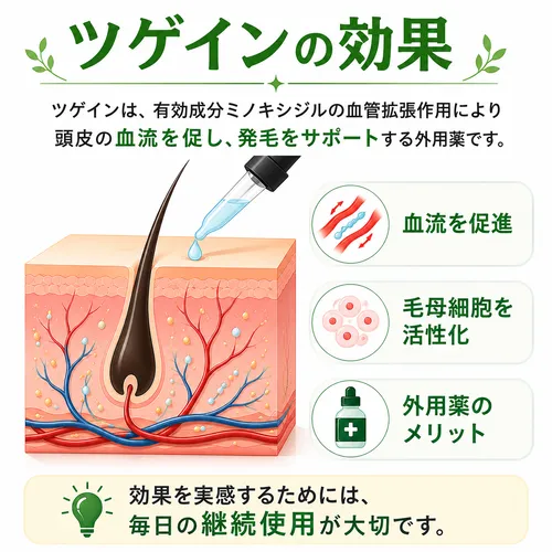 ツゲイン（ミノキシジル）の作用機序を説明している画像