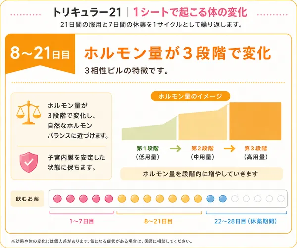 トリキュラーを服用後8~21日間で起こる体の変化