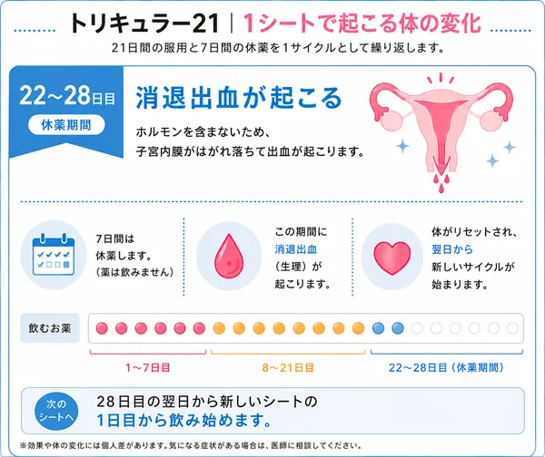 トリキュラーを服用後22~28日間で起こる体の変化