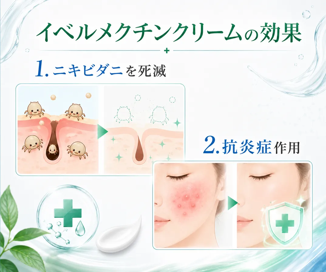 イベルメクチンクリームの効果１.ニキビダニを死滅、2.抗炎症作用
