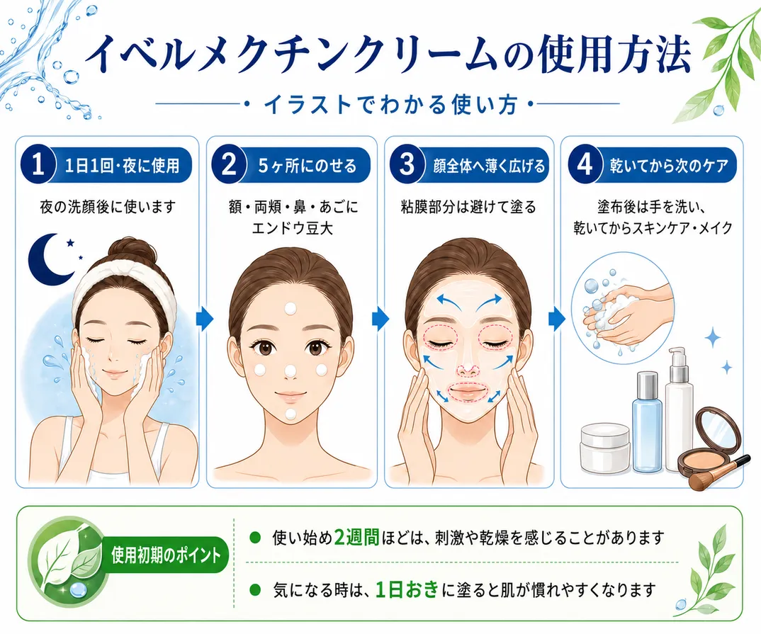 イベルメクチンクリームの使用方法。①1日1回、夜に使用②5箇所にのせる③顔全体へ薄く広げる④乾いてから次のケア
