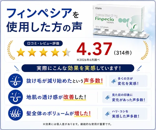フィンペシア_サムネイル05