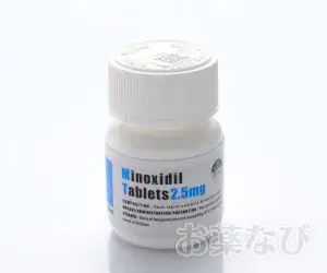エルロイド2.5mg｜ミノキシジルタブレット100錠