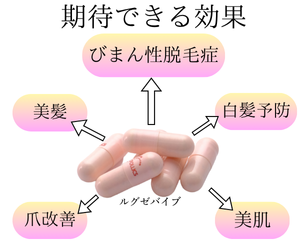 ルグゼバイブに期待できる効果を美髪・白髪予防・爪改善・美肌で示した説明画像