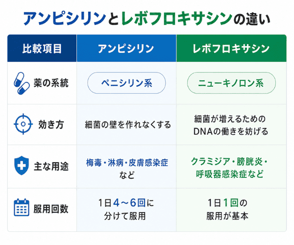 アンピシリンとレボフロキサシンの作用や用途・服用回数の違い