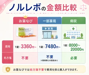 ノルレボサムネイル_金額を比較している画像