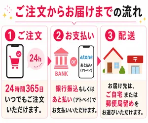 ノルレボサムネイル_通販の流れを紹介している画像