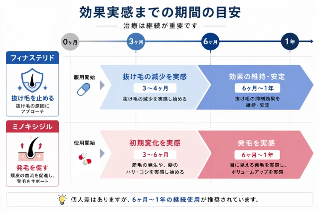ミノキシジル・フィナステリドの効果を実感するまで