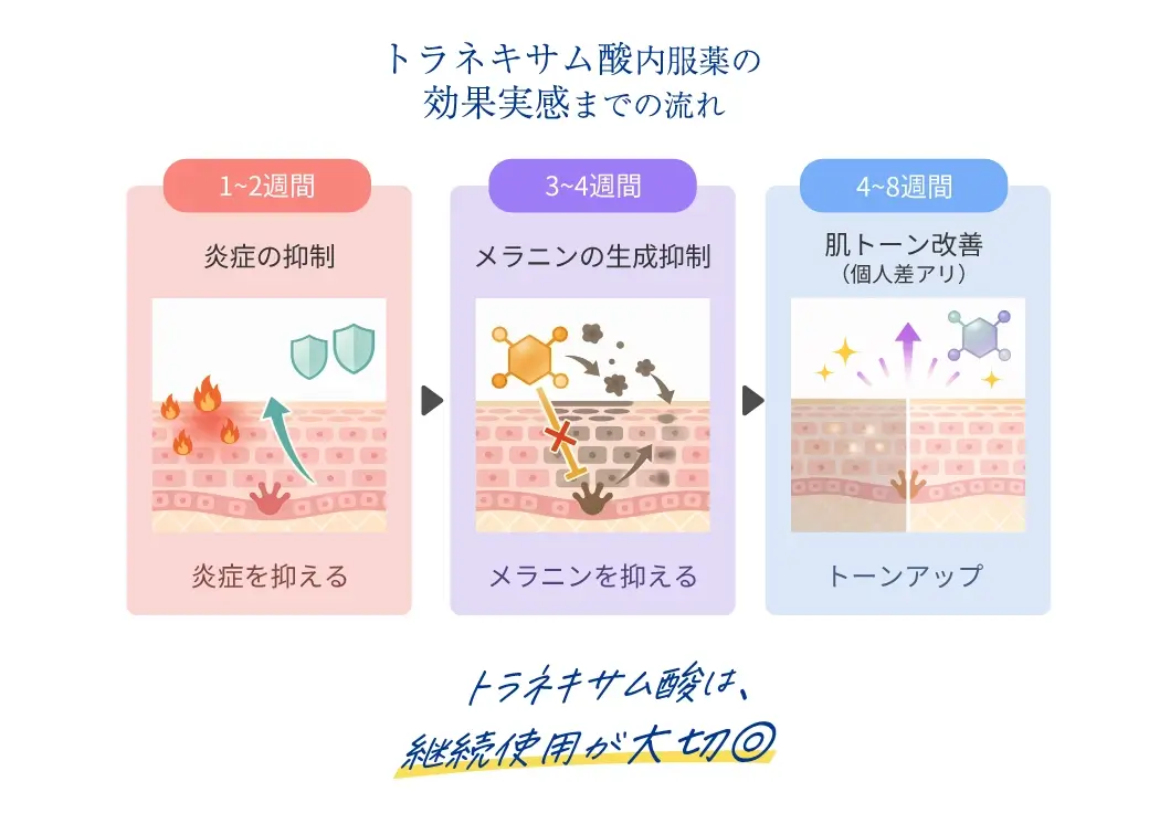 トラネキサム酸内服薬の効果実感までの流れ1~2週間 炎症の抑制 3~4週間メラニンの生成抑制 4~8週間肌トーン改善（個人差アリ） トラネキサム酸は、継続使用が大切◎