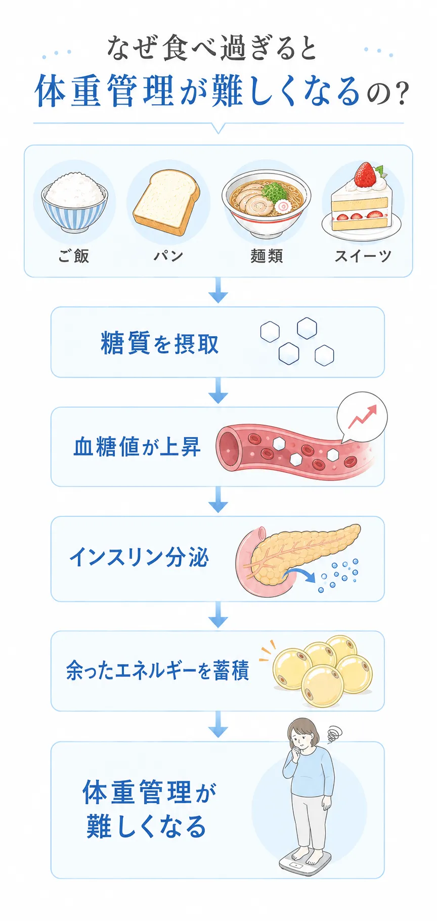 なぜ食べ過ぎると体重管理が難しくなるの？食事↓糖質↓血糖値上昇↓インスリン分泌↓余ったエネルギーを蓄積