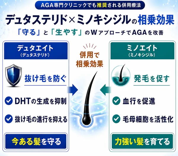 デュタエイト・ミノエイト作用イメージ図