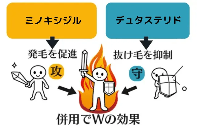 AGA治療薬のミノキシジルとデュタステリドの併用イメージ