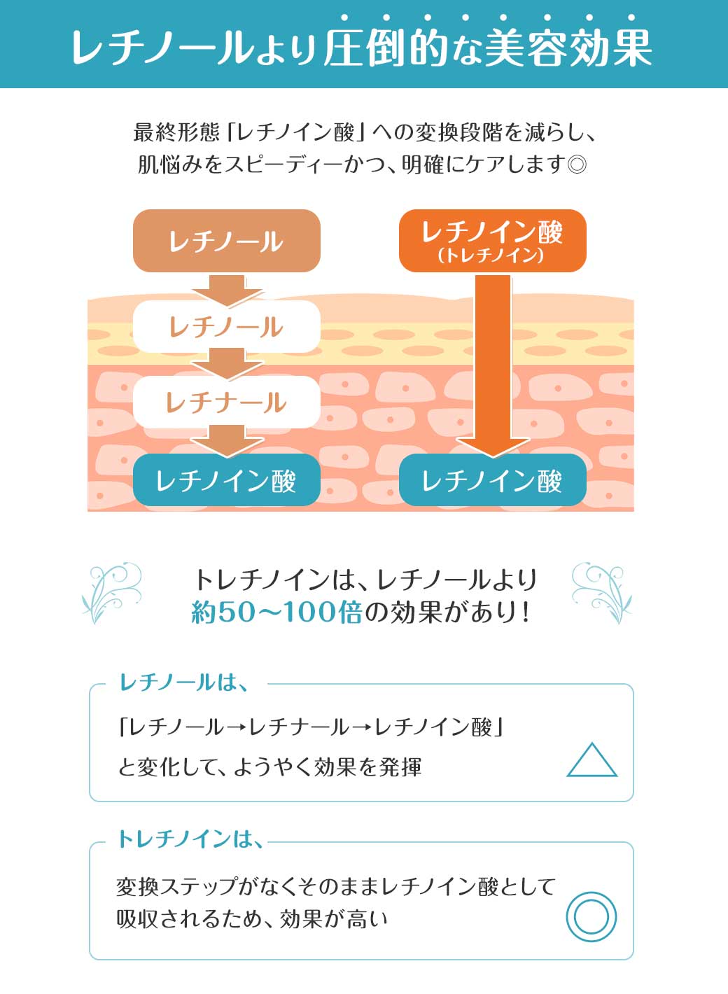 レチノールより圧倒的な美容効果 最終形態「レチノイン酸」への変換段階を減らし、肌悩みをスピーディーかつ、明確にケアします◎トレチノインは、レチノールより約50〜100倍の効果があり！△ レチノールは、「レチノール→レチナール→レチノイン酸」と変化して、ようやく効果を発揮◎ トレチノインは、変換ステップがなくそのままレチノイン酸として吸収されるため、効果が高い