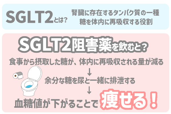 SGLT2阻害薬の効果