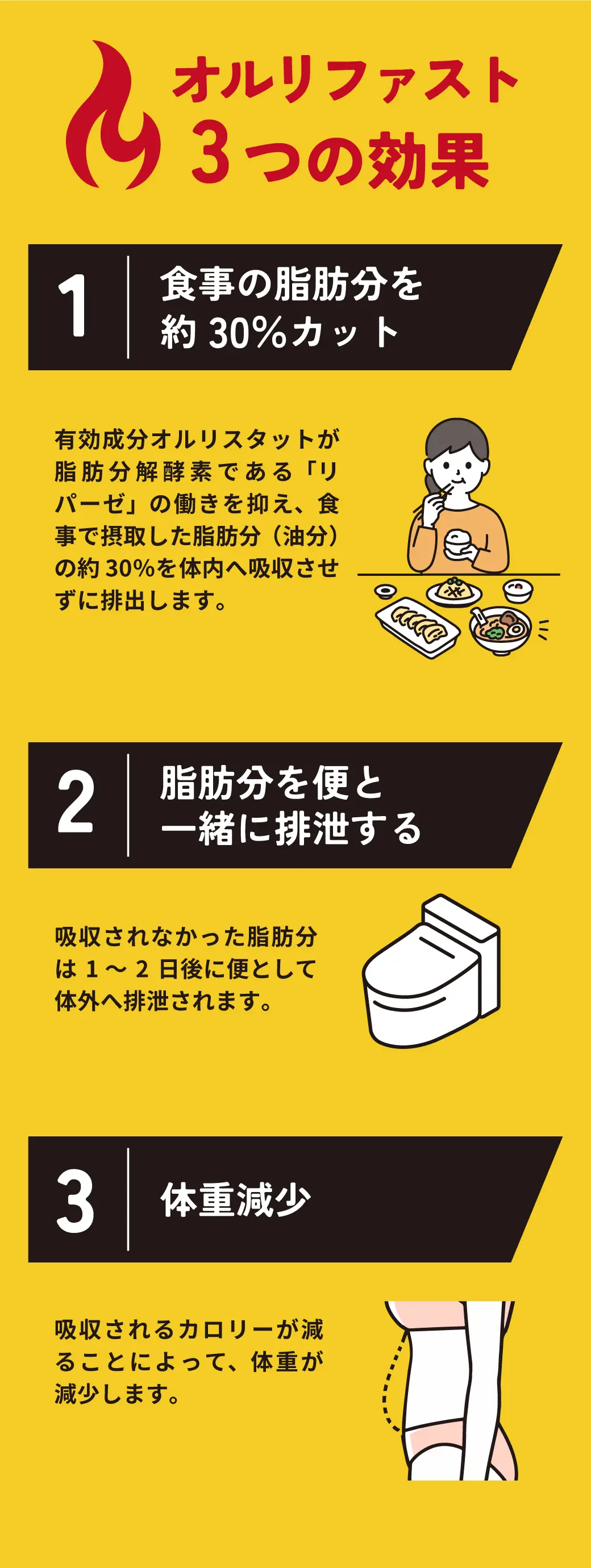 オルリファストの3つの効果。①食事の脂肪分を約30％カット。有効成分オルリスタットが脂肪分解酵素である「リパーゼ」の働きを抑え、食事で摂取した脂肪分（油分）の約30％を体内へ吸収させずに排出します。②脂肪分を便と一緒に排泄する。吸収されなかった脂肪分は1～2日後に便として体外へ排泄されます。③体重減少。吸収されるカロリーが減ることによって、体重が減少します。